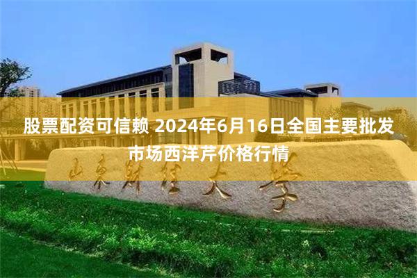 股票配资可信赖 2024年6月16日全国主要批发市场西洋芹价格行情