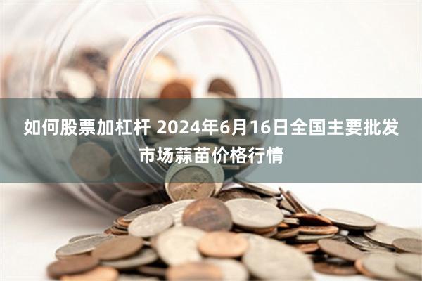 如何股票加杠杆 2024年6月16日全国主要批发市场蒜苗价格行情