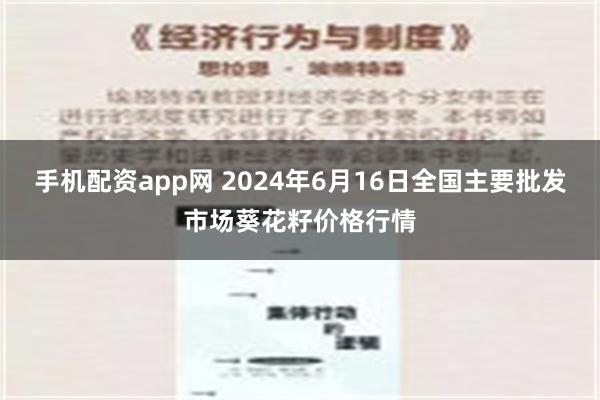 手机配资app网 2024年6月16日全国主要批发市场葵花籽价格行情