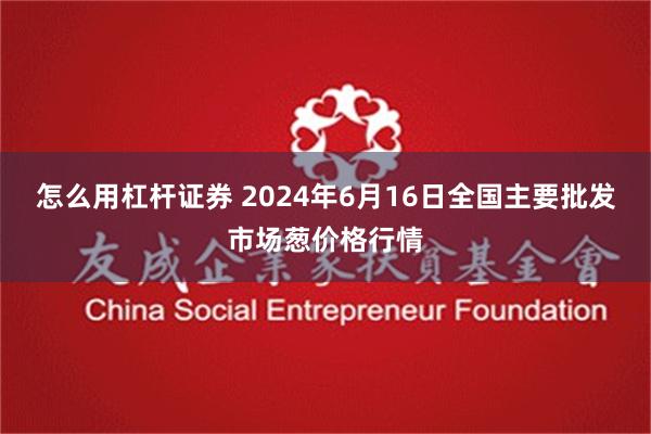 怎么用杠杆证券 2024年6月16日全国主要批发市场葱价格行情