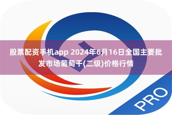 股票配资手机app 2024年6月16日全国主要批发市场葡萄干(二级)价格行情