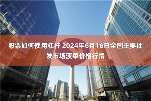 股票如何使用杠杆 2024年6月16日全国主要批发市场菠菜价格行情