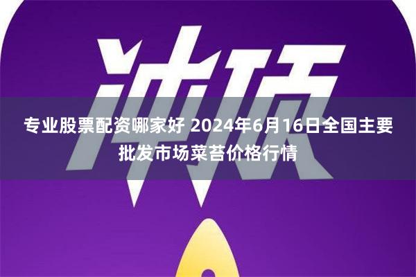 专业股票配资哪家好 2024年6月16日全国主要批发市场菜苔价格行情