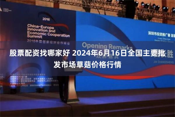 股票配资找哪家好 2024年6月16日全国主要批发市场草菇价格行情