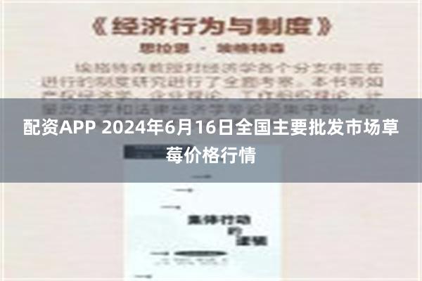 配资APP 2024年6月16日全国主要批发市场草莓价格行情