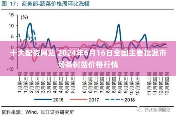 十大配资网站 2024年6月16日全国主要批发市场茶树菇价格行情