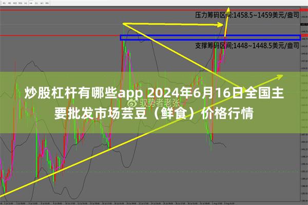 炒股杠杆有哪些app 2024年6月16日全国主要批发市场芸豆（鲜食）价格行情