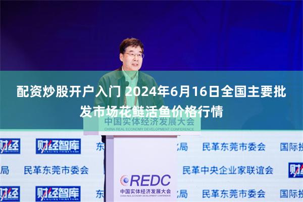 配资炒股开户入门 2024年6月16日全国主要批发市场花鲢活鱼价格行情