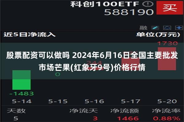 股票配资可以做吗 2024年6月16日全国主要批发市场芒果(红象牙9号)价格行情