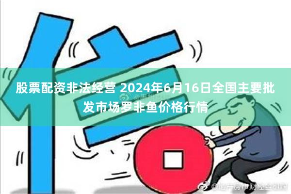 股票配资非法经营 2024年6月16日全国主要批发市场罗非鱼价格行情