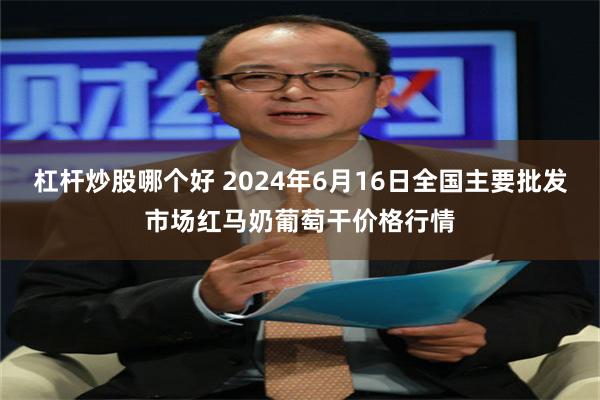 杠杆炒股哪个好 2024年6月16日全国主要批发市场红马奶葡萄干价格行情