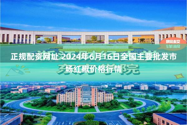 正规配资网址 2024年6月16日全国主要批发市场红椒价格行情