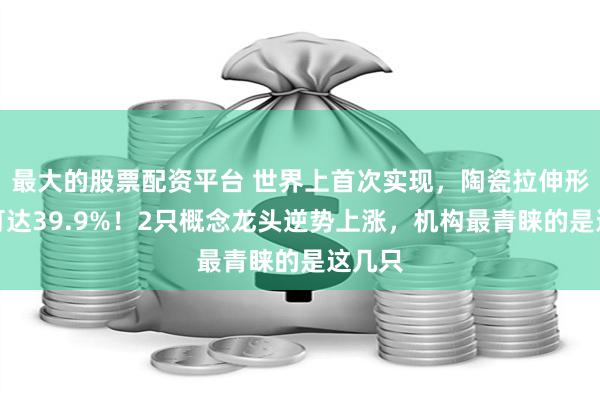 最大的股票配资平台 世界上首次实现，陶瓷拉伸形变量可达39.9%！2只概念龙头逆势上涨，机构最青睐的是这几只