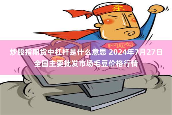 炒股指期货中杠杆是什么意思 2024年7月27日全国主要批发市场毛豆价格行情