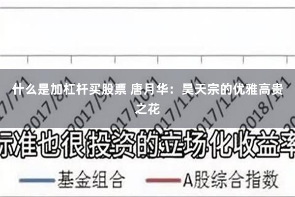 什么是加杠杆买股票 唐月华：昊天宗的优雅高贵之花