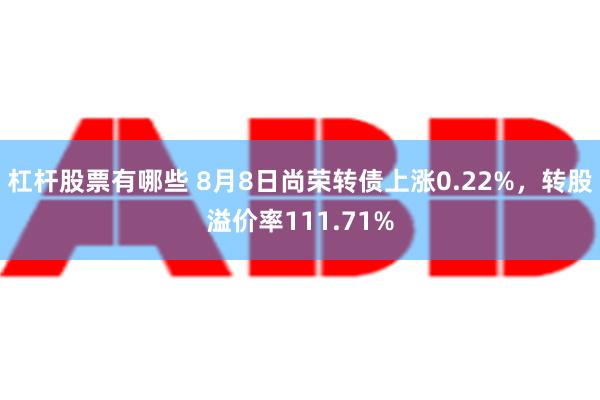 杠杆股票有哪些 8月8日尚荣转债上涨0.22%，转股溢价率111.71%