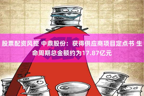 股票配资风控 中鼎股份：获得供应商项目定点书 生命周期总金额约为17.87亿元