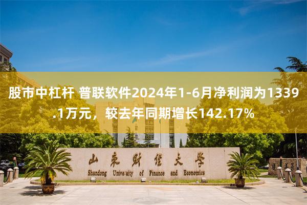 股市中杠杆 普联软件2024年1-6月净利润为1339.1万元，较去年同期增长142.17%