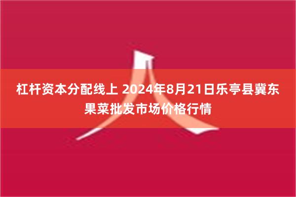 杠杆资本分配线上 2024年8月21日乐亭县冀东果菜批发市场价格行情