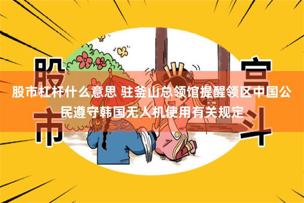 股市杠杆什么意思 驻釜山总领馆提醒领区中国公民遵守韩国无人机使用有关规定