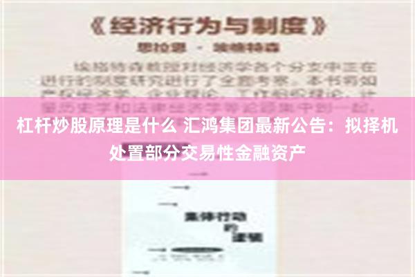 杠杆炒股原理是什么 汇鸿集团最新公告：拟择机处置部分交易性金融资产