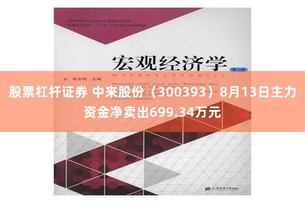 股票杠杆证券 中来股份（300393）8月13日主力资金净卖出699.34万元