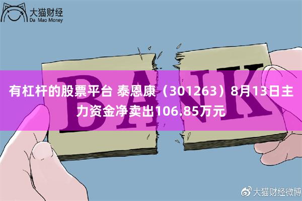 有杠杆的股票平台 泰恩康（301263）8月13日主力资金净卖出106.85万元