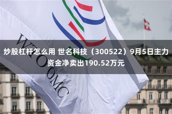 炒股杠杆怎么用 世名科技（300522）9月5日主力资金净卖出190.52万元