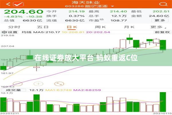 在线证劵放大平台 蚂蚁重返C位