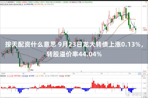 按天配资什么意思 9月23日龙大转债上涨0.13%，转股溢价率44.04%