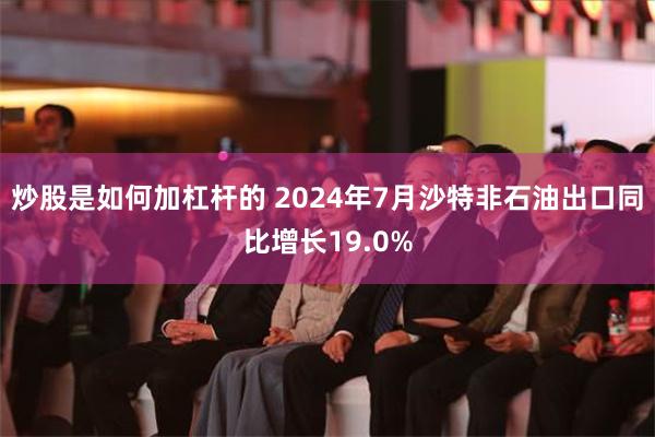 炒股是如何加杠杆的 2024年7月沙特非石油出口同比增长19.0%