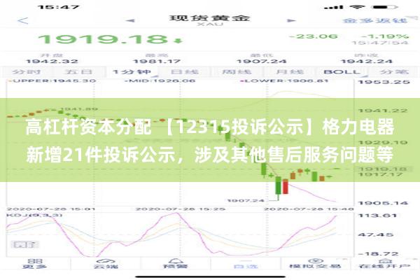 高杠杆资本分配 【12315投诉公示】格力电器新增21件投诉公示，涉及其他售后服务问题等