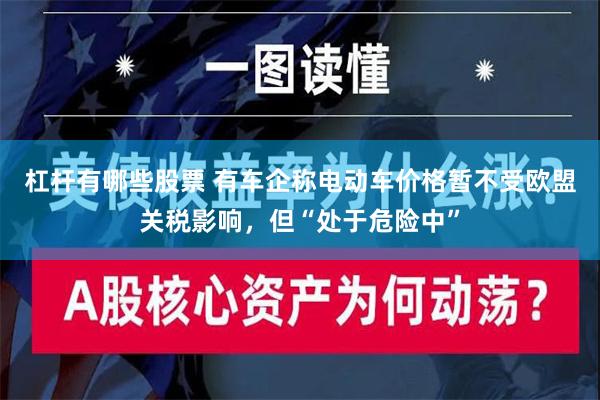 杠杆有哪些股票 有车企称电动车价格暂不受欧盟关税影响，但“处于危险中”