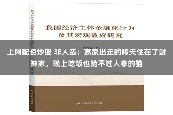 上网配资炒股 非人哉：离家出走的哮天住在了财神家，晚上吃饭也抢不过人家的猫