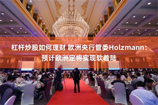 杠杆炒股如何理财 欧洲央行管委Holzmann：预计欧洲定将实现软着陆