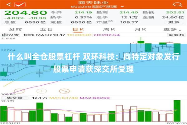 什么叫全仓股票杠杆 双环科技：向特定对象发行股票申请获深交所受理