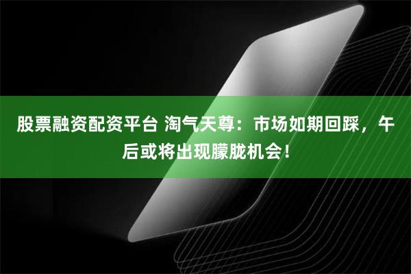 股票融资配资平台 淘气天尊：市场如期回踩，午后或将出现朦胧机会！