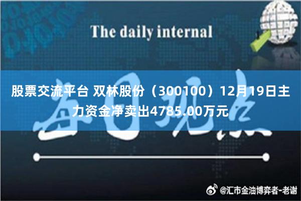 股票交流平台 双林股份（300100）12月19日主力资金净卖出4785.00万元