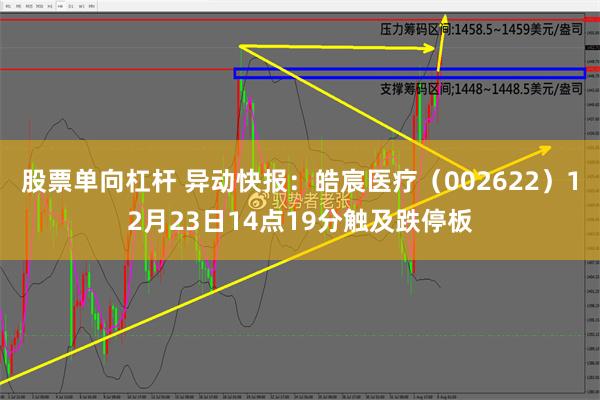 股票单向杠杆 异动快报：皓宸医疗（002622）12月23日14点19分触及跌停板