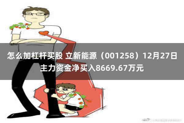 怎么加杠杆买股 立新能源（001258）12月27日主力资金净买入8669.67万元