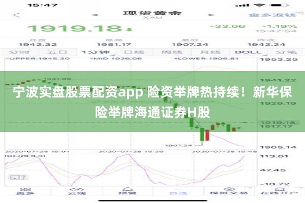 宁波实盘股票配资app 险资举牌热持续！新华保险举牌海通证券H股