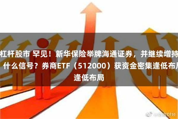 杠杆股市 罕见！新华保险举牌海通证券，并继续增持，什么信号？券商ETF（512000）获资金密集逢低布局