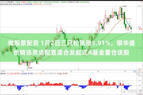 做股票配资 1月2日三只松鼠涨5.91%，银华盛世精选灵活配置混合发起式A基金重仓该股