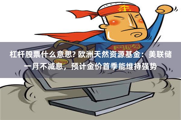 杠杆股票什么意思? 欧洲天然资源基金：美联储一月不减息，预计金价首季能维持强势