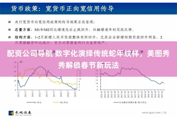 配资公司导航 数字化演绎传统蛇年纹样，美图秀秀解锁春节新玩法